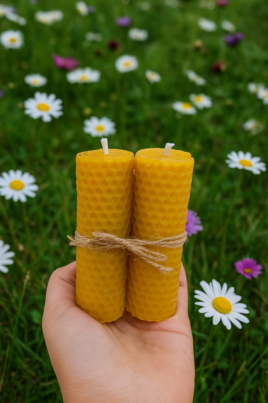 Pack vela de cera de abeja y ruda 8cm